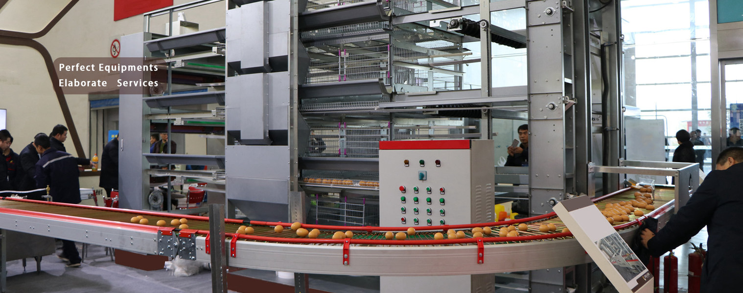 kwaliteit De Kooi van de gevogeltekip Fabriek