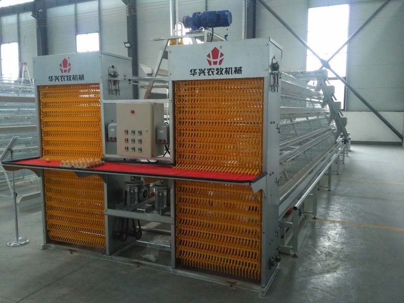 Henan Huaxing Poultry Equipments Co.,Ltd. fabriek productielijn