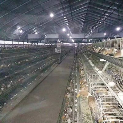 Een van de Laagduck breeding farming cage for van de Kaderkip het Gevogeltelandbouwbedrijf