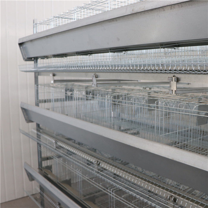 Automatisch h-Type de Kooi Heet Gegalvaniseerd Staal van de Laagkip