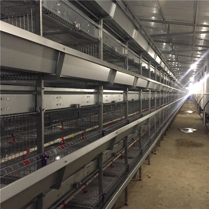 4 rijh Type Baby Chick Cage 192 Vogels het Broeden Ontwerp