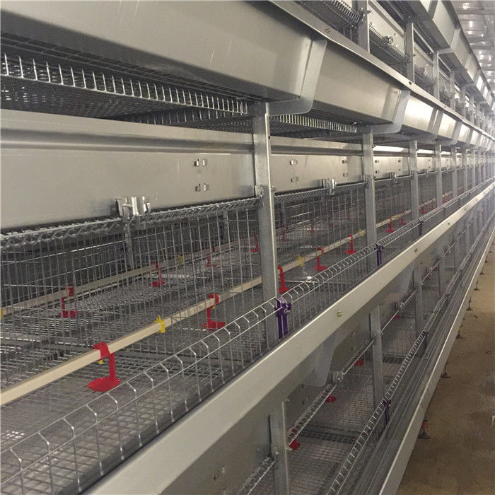 4 rijh Type Baby Chick Cage 192 Vogels het Broeden Ontwerp