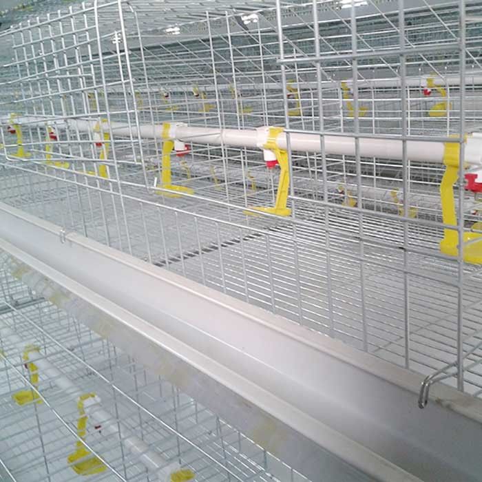 Van de het Gevogeltekip van het landbouw en veeteeltvee Kooi 4 Rijen 8 Deuren Hoge Duurzaamheid