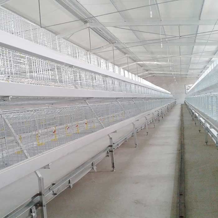 Van de het Gevogeltekip van het landbouw en veeteeltvee Kooi 4 Rijen 8 Deuren Hoge Duurzaamheid