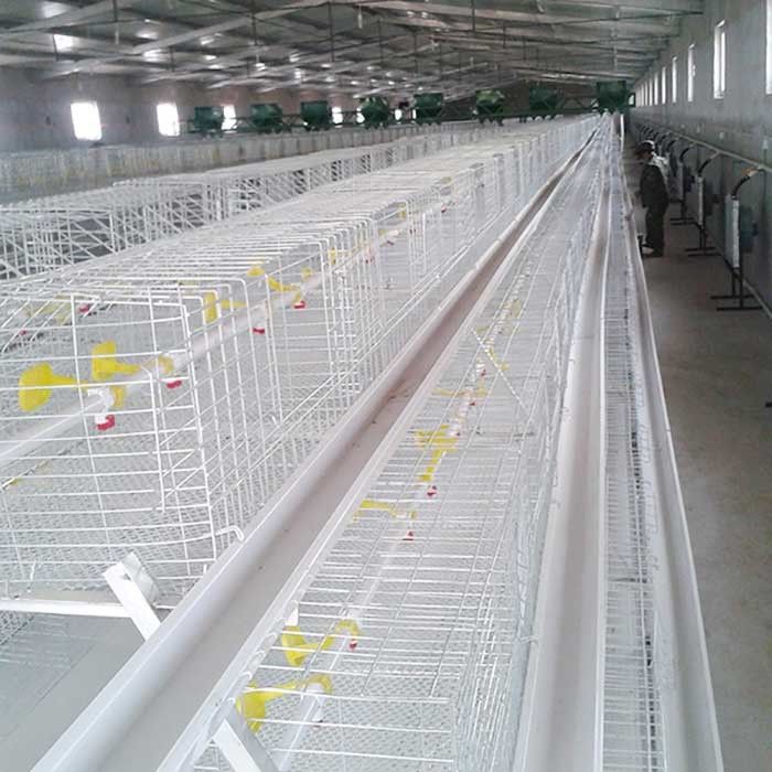 De Kippenkooien van het douane Commerciële Vlees, Duurzaam Chick Breeding Cage