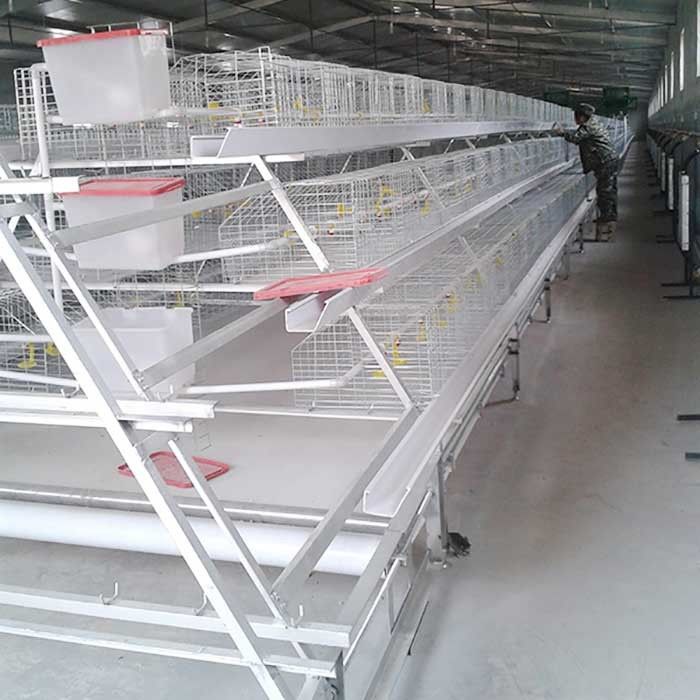 De Kippenkooien van het douane Commerciële Vlees, Duurzaam Chick Breeding Cage