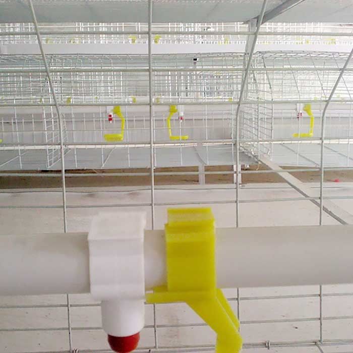 De Kippenkooien van het douane Commerciële Vlees, Duurzaam Chick Breeding Cage
