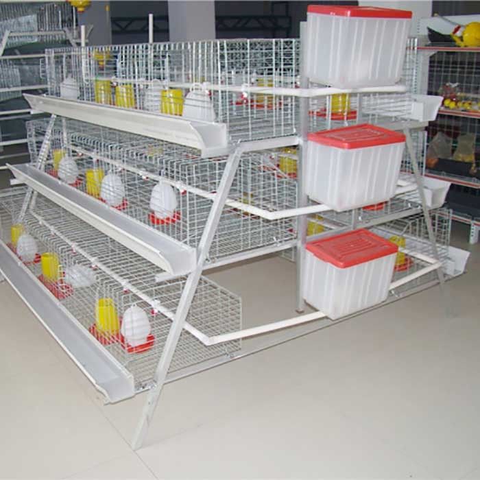Een Type 198 van de de Kippenkooi van de Vogelslaag de Pluimveehouderijmateriaal