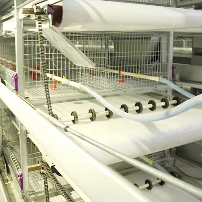 4 rij 195CM Babykuiken kooit een Type Gegalvaniseerd Q235-Duurzaam Staalmateriaal