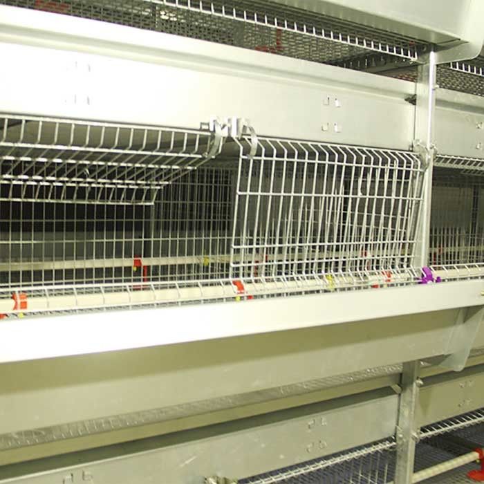 4 rij 195CM Babykuiken kooit een Type Gegalvaniseerd Q235-Duurzaam Staalmateriaal