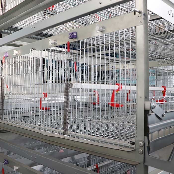 Duurzaam een van de het Kuikenkooi van de Typebaby Laag Sterftecijfer met Hand het Voeden Systeem