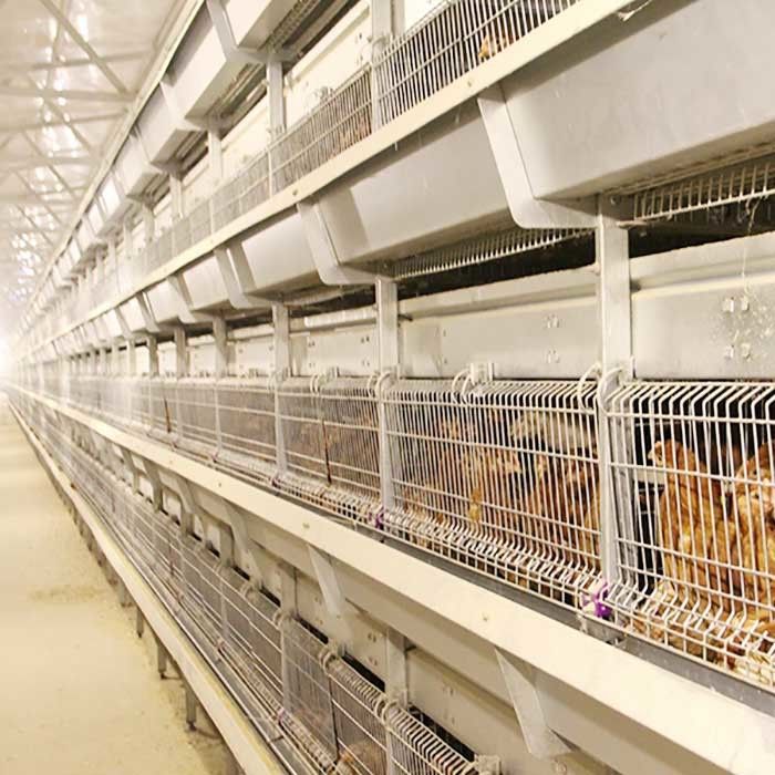 De hoge Daglicht/Ventilatiekooi Water Aangepaste Vriendschappelijke Eco van het Babykuiken