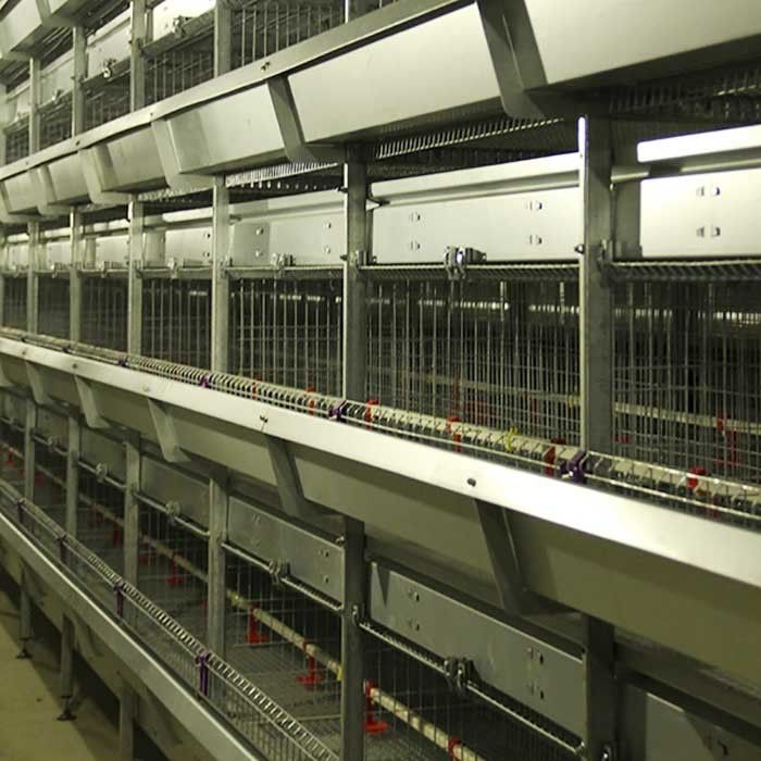 Gegalvaniseerd Staal een Kooi voor Gevogelte, Automatische de Kippenkooi van de Ladderlaag