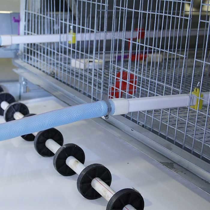 Gegalvaniseerd Staal een Kooi voor Gevogelte, Automatische de Kippenkooi van de Ladderlaag