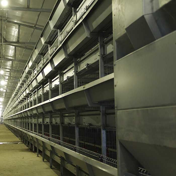 De hoge Daglicht/Ventilatiekooi Water Aangepaste Vriendschappelijke Eco van het Babykuiken