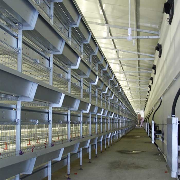 Minder Binnen de Kippenkooi van de Voerverspilling, de Auto het Voeden Kooi van het Gevogeltelandbouwbedrijf