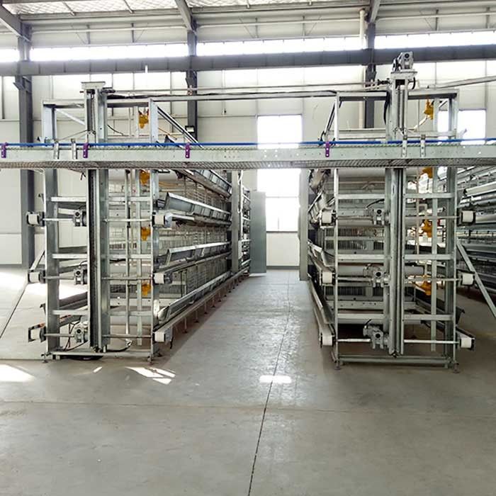 4 - 8.5m de Opheffende Controle van de de Kooibatterij van de Gevogeltekip met Autoeicollector