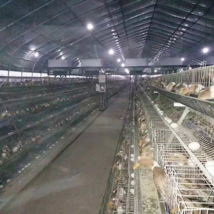 Een van de Laagduck breeding farming cage for van de Kaderkip het Gevogeltelandbouwbedrijf