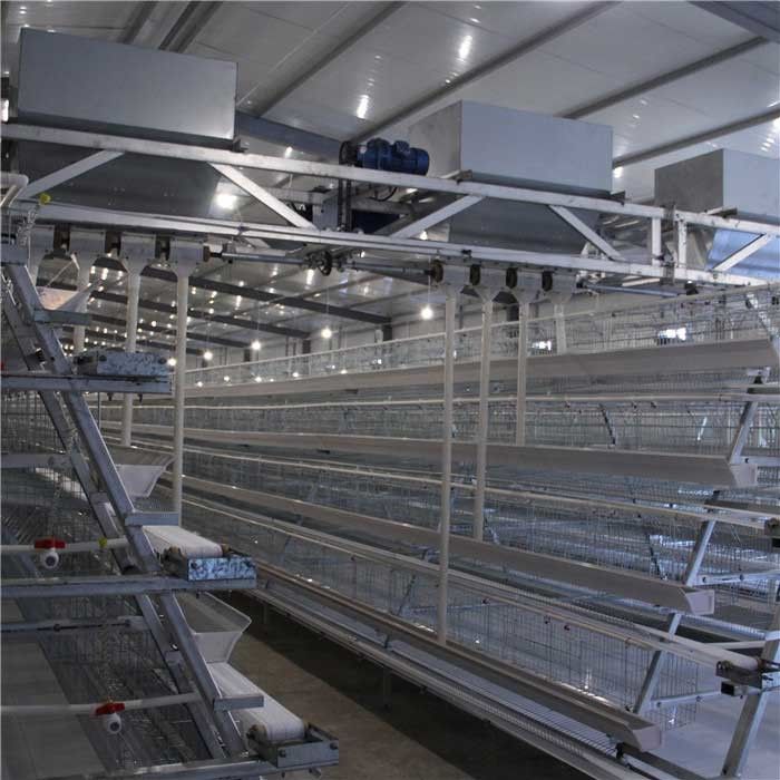Duurzame het Landbouwbedrijfvoeder van het Hoge snelheidsgevogelte, de Automatische Automaat van het Kippenvoedsel