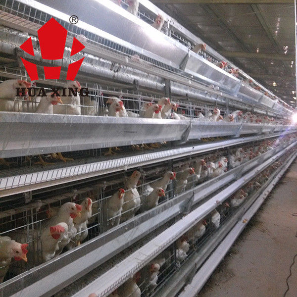 Kooifabrikant 90 - 160 Vogels Hete Gegalvaniseerde het Leggen Hen Farming Equipments Layer Chicken Kooi