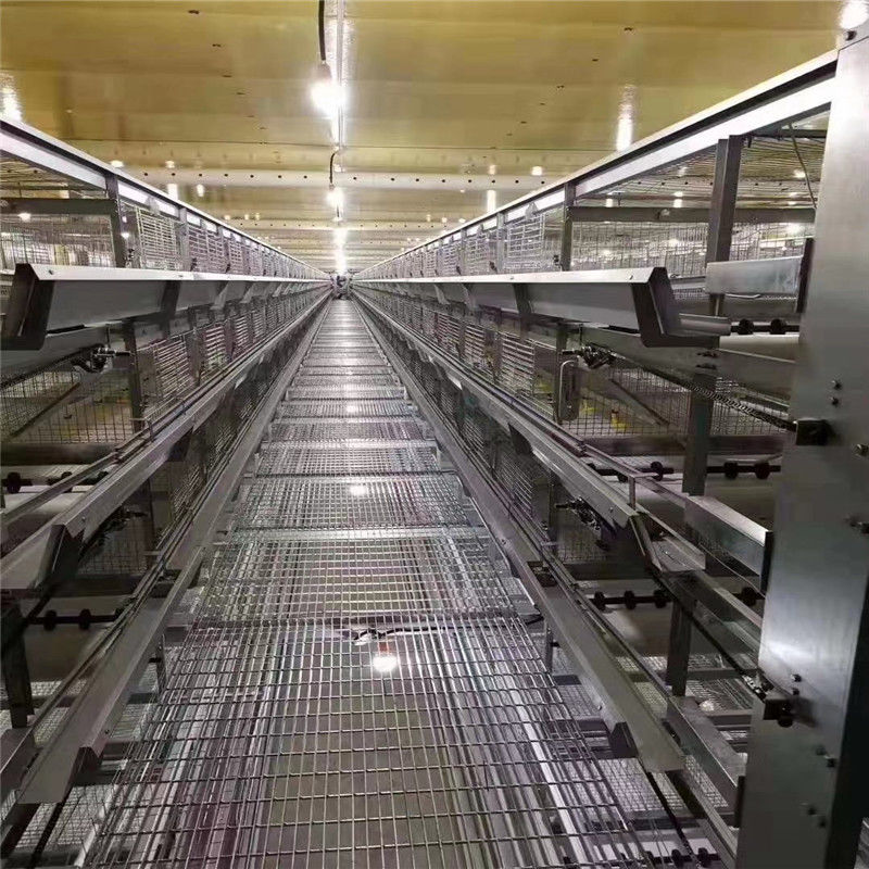 Een Type 198 van de de Kippenkooi van de Vogelslaag de Pluimveehouderijmateriaal