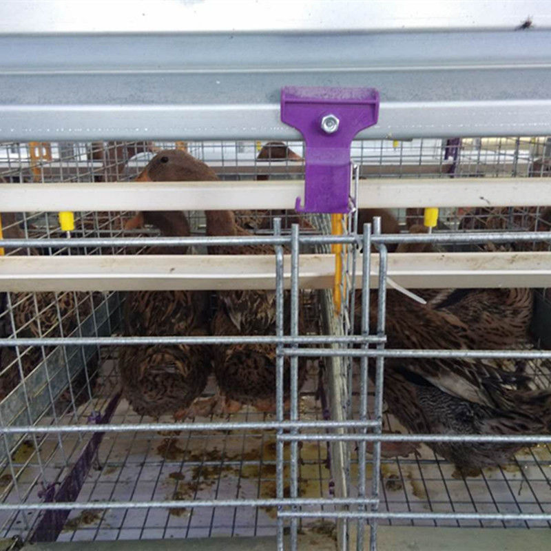 Van de Fabrieksduck cage laying duck farming van China Materiaal 3 Rijenlaag Duck Poultry Cages