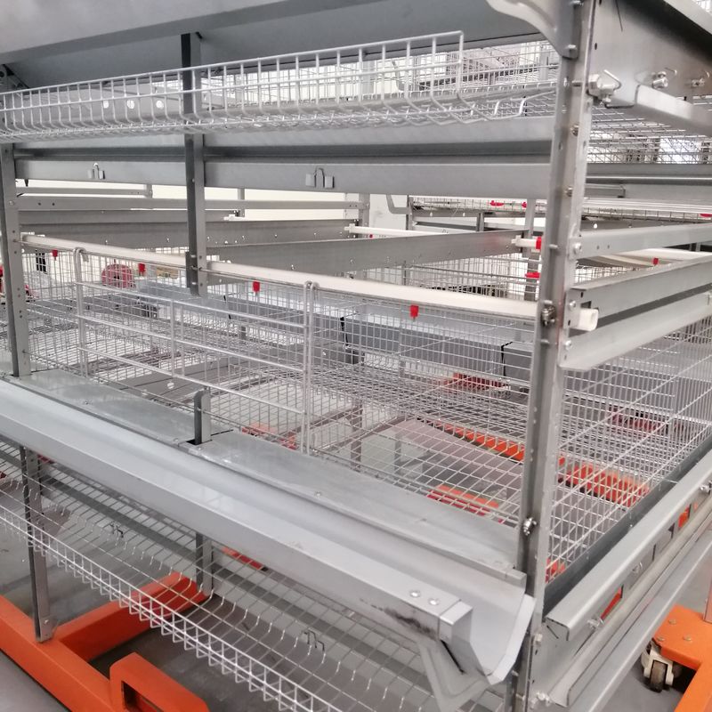 Duurzame Automatische Duck Cage Factory Commercial Duck-Kooi voor Eieren
