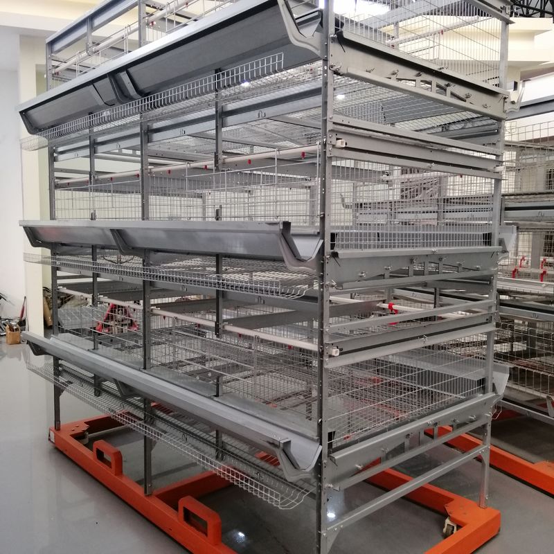 Hoog - kwaliteitsgevogelte Duck Cage, u-de Batterij Duck Cage For Sale van het Vormstaal