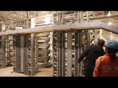 Automatische laagkwartelkooi